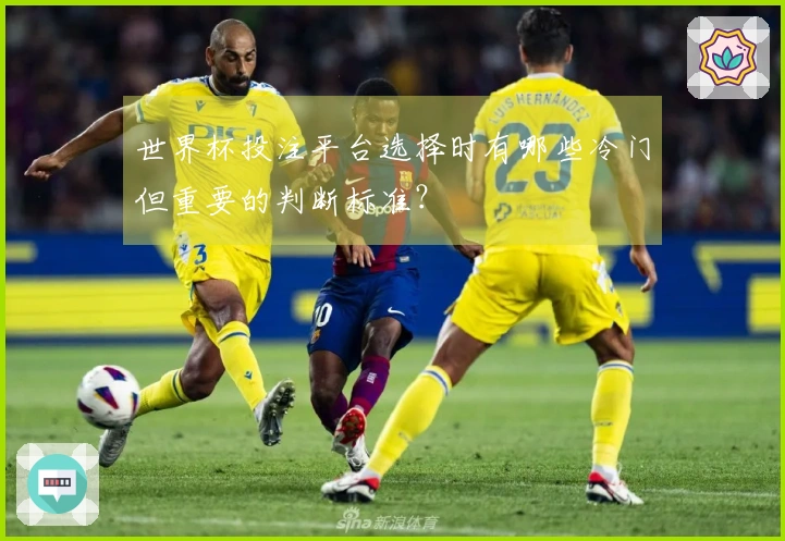 世界杯投注平台选择时有哪些冷门但重要的判断标准？