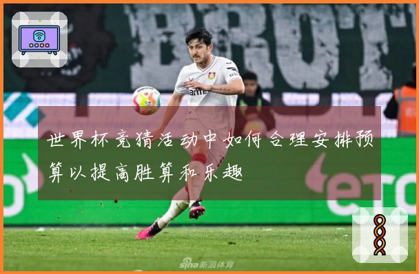 世界杯竞猜活动中如何合理安排预算以提高胜算和乐趣