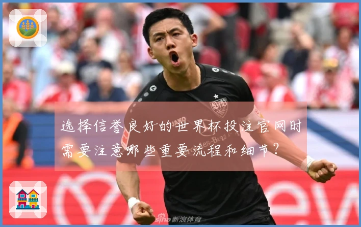 选择信誉良好的世界杯投注官网时需要注意哪些重要流程和细节？