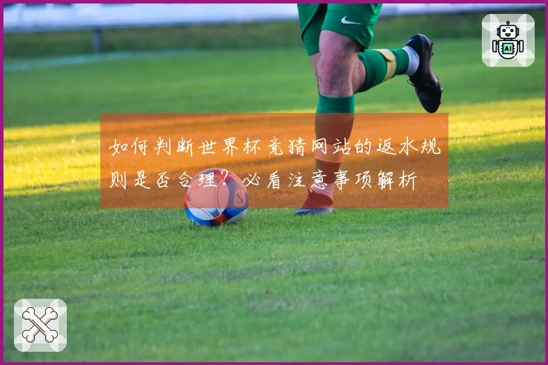 如何判断世界杯竞猜网站的返水规则是否合理？必看注意事项解析