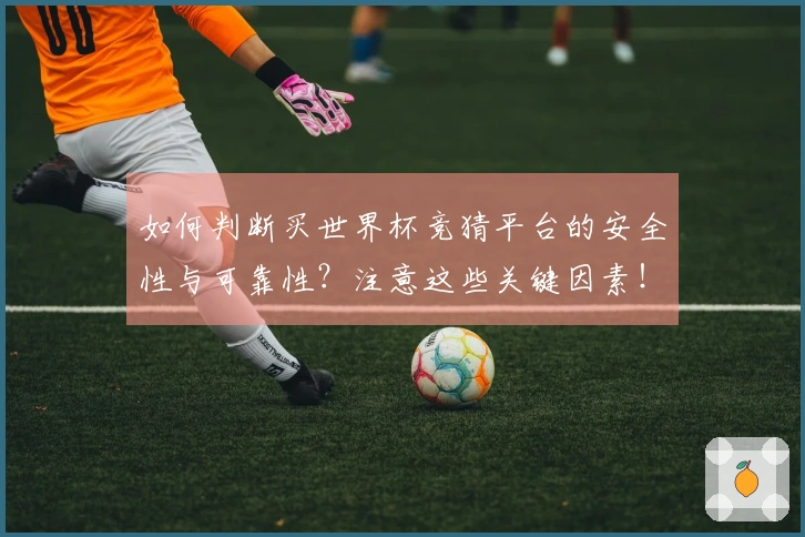 如何判断买世界杯竞猜平台的安全性与可靠性？注意这些关键因素！