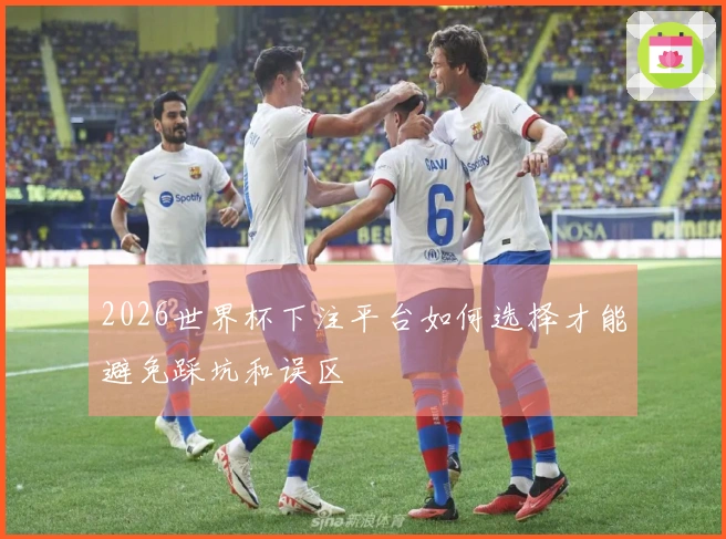 2026世界杯下注平台如何选择才能避免踩坑和误区