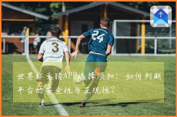 世界杯竞猜APP选择须知：如何判断平台的安全性与正规性？