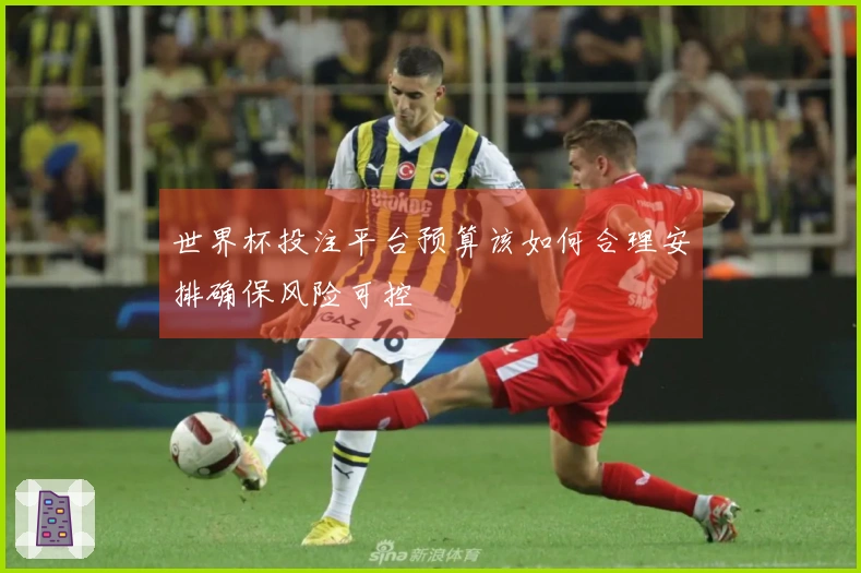 世界杯投注平台预算该如何合理安排确保风险可控