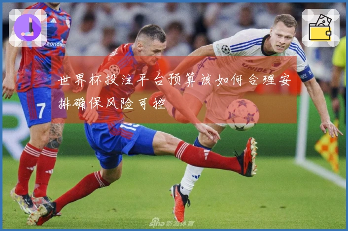 世界杯投注平台预算该如何合理安排确保风险可控