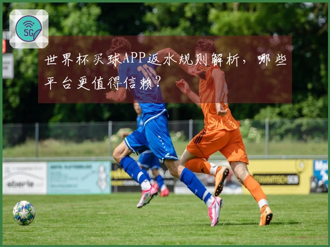 世界杯买球APP返水规则解析，哪些平台更值得信赖？